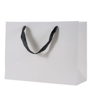 שקית קרטון מהודרת קטנה 24x20x8 סמ